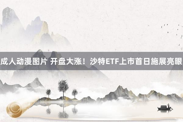 成人动漫图片 开盘大涨!沙特ETF上市首日施展亮眼