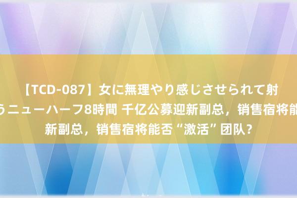 【TCD-087】女に無理やり感じさせられて射精までしてしまうニューハーフ8時間 千亿公募迎新副总,销售宿将能否“激活”团队?