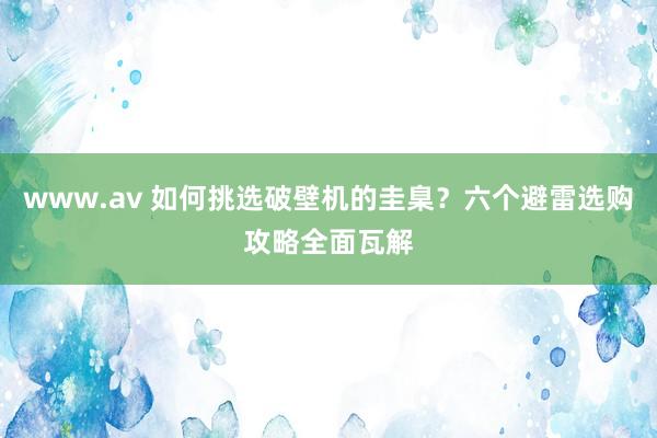 www.av 如何挑选破壁机的圭臬?六个避雷选购攻略全面瓦解