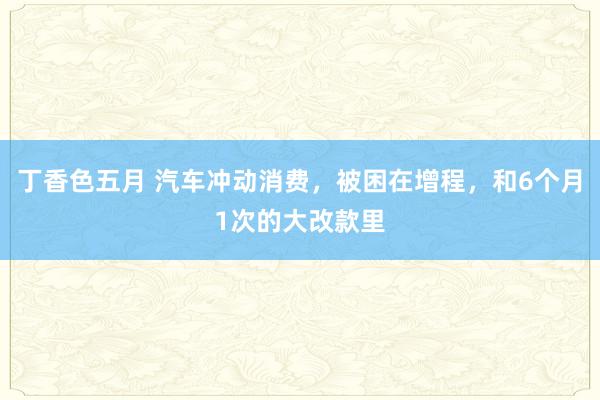 丁香色五月 汽车冲动消费,被困在增程,和6个月1次的大改款里