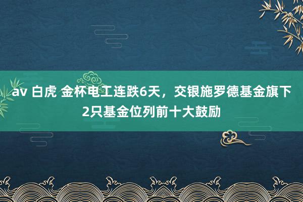 av 白虎 金杯电工连跌6天，交银施罗德基金旗下2只基金位列前十大鼓励