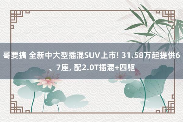 哥要搞 全新中大型插混SUV上市! 31.58万起提供6、7座, 配2.0T插混+四驱