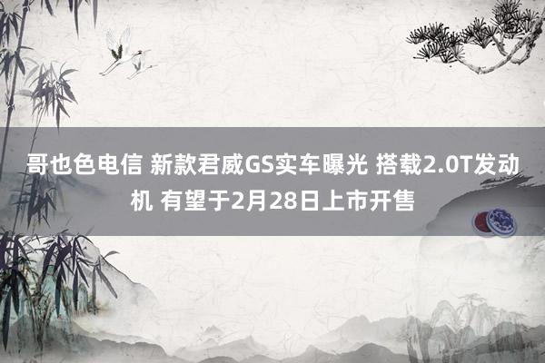 哥也色电信 新款君威GS实车曝光 搭载2.0T发动机 有望于2月28日上市开售