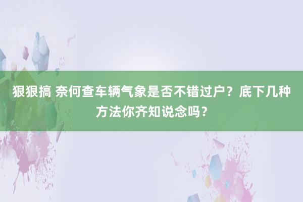 狠狠搞 奈何查车辆气象是否不错过户?底下几种方法你齐知说念吗?