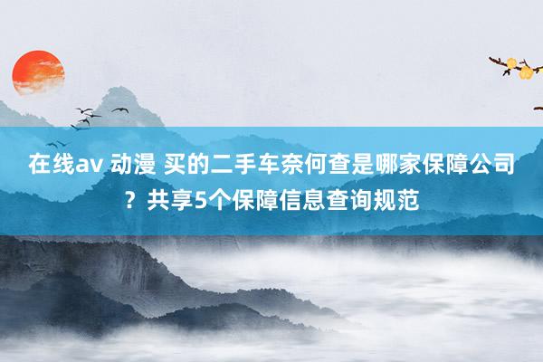 在线av 动漫 买的二手车奈何查是哪家保障公司?共享5个保障信息查询规范