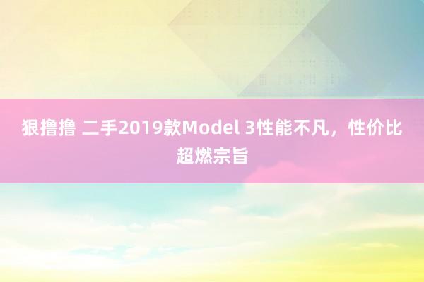 狠撸撸 二手2019款Model 3性能不凡,性价比超燃宗旨