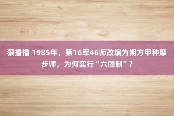 狠撸撸 1985年，第16军46师改编为朔方甲种摩步师，为何实行“六团制”？