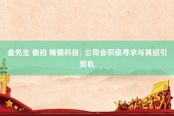 金先生 偷拍 精锻科技: 公司会积极寻求与其招引契机