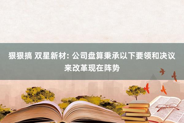 狠狠搞 双星新材: 公司盘算秉承以下要领和决议来改革现在阵势