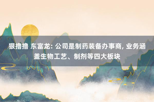 狠撸撸 东富龙: 公司是制药装备办事商, 业务涵盖生物工艺、制剂等四大板块