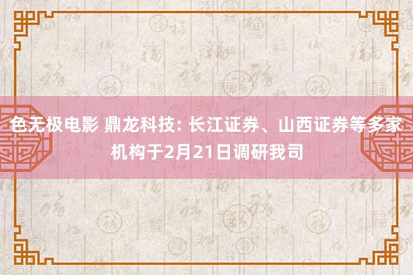 色无极电影 鼎龙科技: 长江证券、山西证券等多家机构于2月21日调研我司
