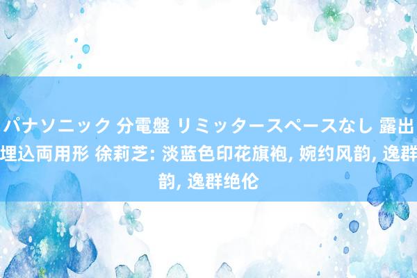 パナソニック 分電盤 リミッタースペースなし 露出・半埋込両用形 徐莉芝: 淡蓝色印花旗袍， 婉约风韵， 逸群绝伦