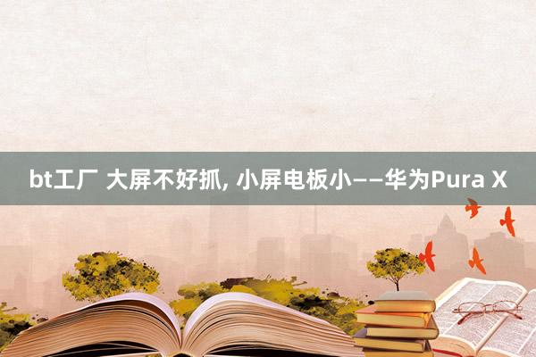 bt工厂 大屏不好抓, 小屏电板小——华为Pura X