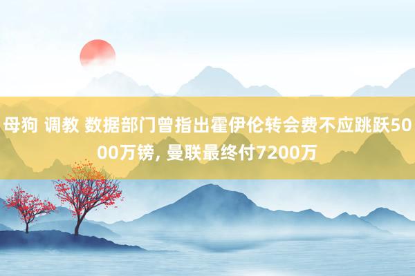 母狗 调教 数据部门曾指出霍伊伦转会费不应跳跃5000万镑， 曼联最终付7200万
