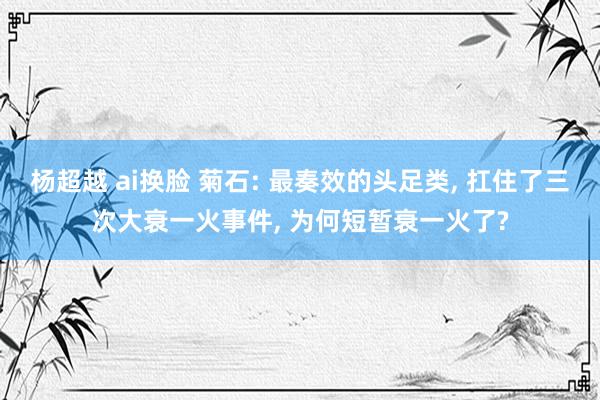 杨超越 ai换脸 菊石: 最奏效的头足类， 扛住了三次大衰一火事件， 为何短暂衰一火了?