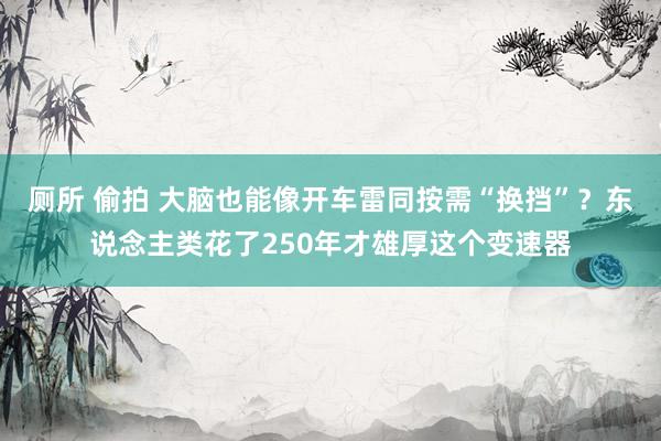 厕所 偷拍 大脑也能像开车雷同按需“换挡”？东说念主类花了250年才雄厚这个变速器