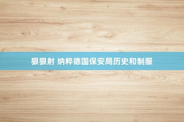 狠狠射 纳粹德国保安局历史和制服