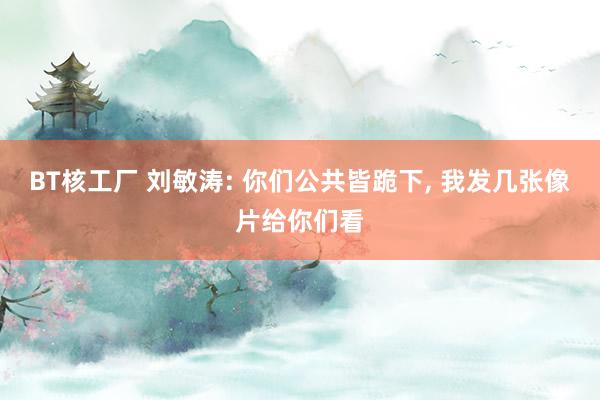 BT核工厂 刘敏涛: 你们公共皆跪下， 我发几张像片给你们看