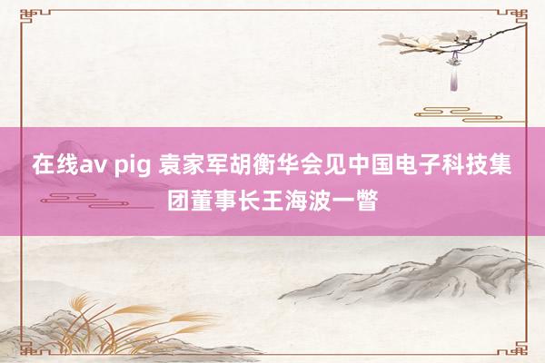 在线av pig 袁家军胡衡华会见中国电子科技集团董事长王海波一瞥