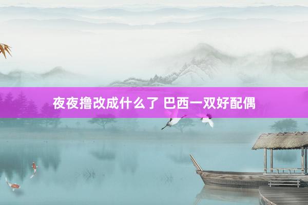 夜夜撸改成什么了 巴西一双好配偶