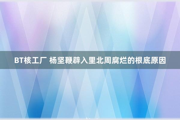 BT核工厂 杨坚鞭辟入里北周腐烂的根底原因