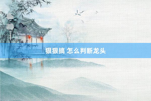 狠狠搞 怎么判断龙头