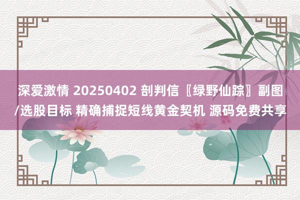 深爱激情 20250402 剖判信〖绿野仙踪〗副图/选股目标 精确捕捉短线黄金契机 源码免费共享