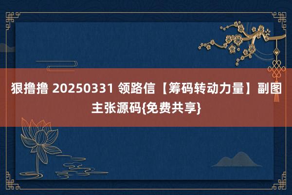狠撸撸 20250331 领路信【筹码转动力量】副图主张源码{免费共享}