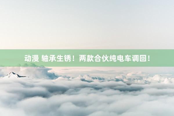 动漫 轴承生锈!两款合伙纯电车调回!