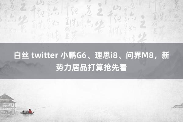 白丝 twitter 小鹏G6、理思i8、问界M8，新势力居品打算抢先看